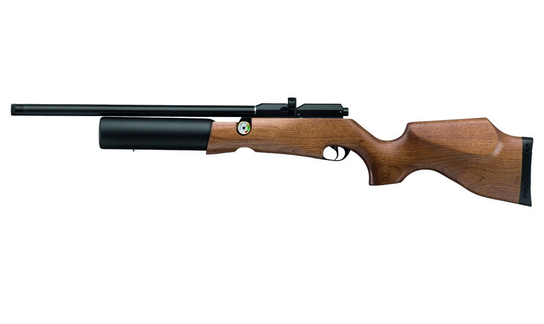 Stinger PCP Baco Air Gun (5.5mm/.22)