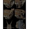 Big Foot – R Assault Tactical Backpack Set (Tan)