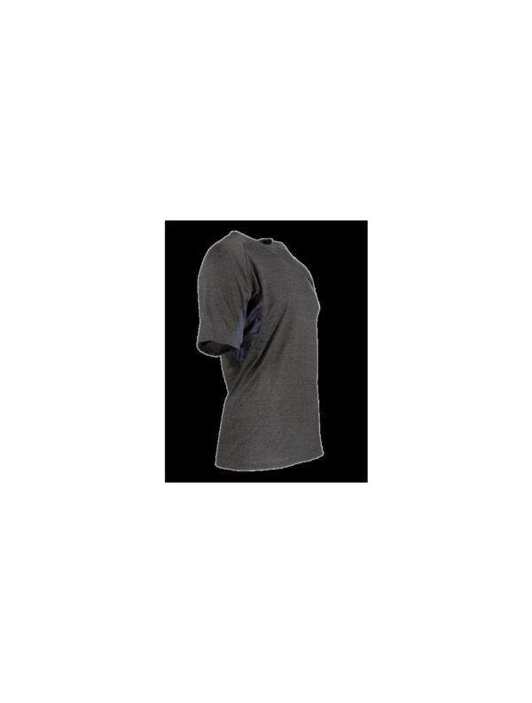 Ragnar Raids AESIR T-Shirt Norse – c.Grey – Size S