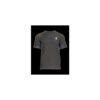 Ragnar Raids AESIR T-Shirt Norse – c.Grey – Size S