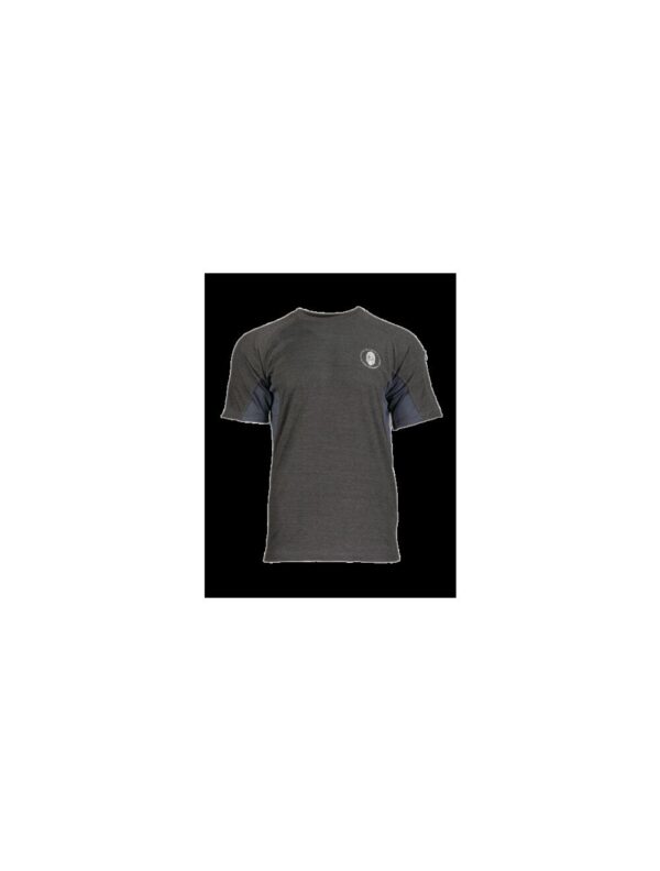 Ragnar Raids AESIR T-Shirt Norse – c.Grey – Size S