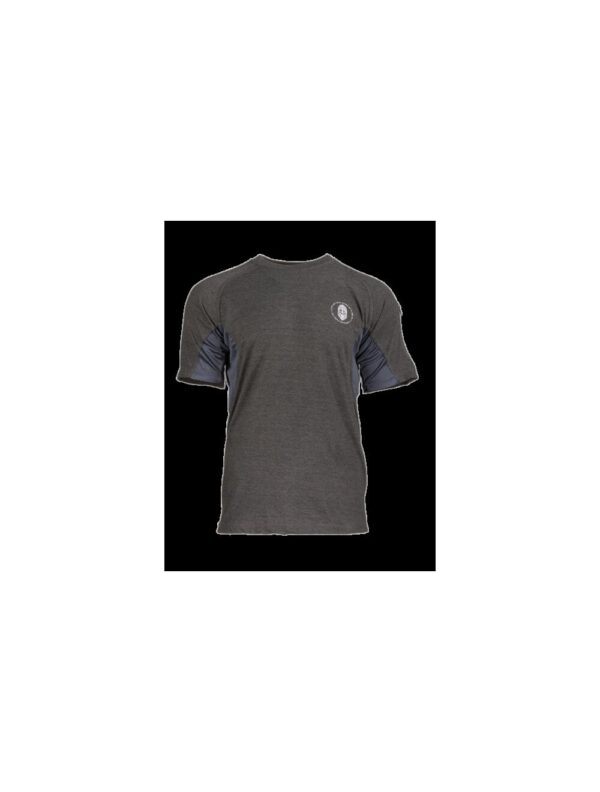 Ragnar Raids AESIR T-Shirt Rune – c.Grey – Size M