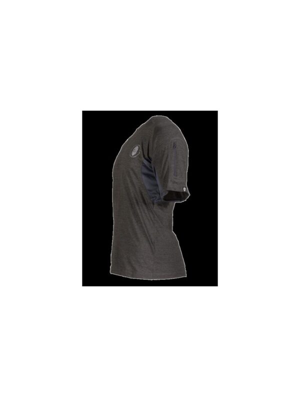 Ragnar Raids AESIR T-Shirt Rune – c.Grey – Size M