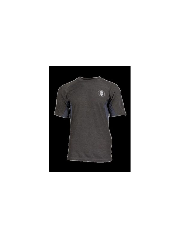 Ragnar Raids AESIR T-Shirt Tour – c.Grey – Size XL