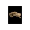 Ragnar Raids VALKIRIE MK2 Gloves c.Coyote Size S