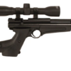 Crosman Ratcatcher 2250 XL – .22 CO2 Air Rifle