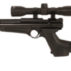 Crosman Ratcatcher 2250 XL – .22 CO2 Air Rifle