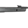 GAMO WHISPER STING SPRING AIR RIFLE .22